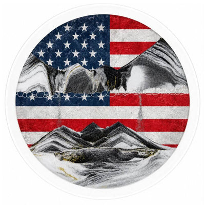 Art Wall Mount - Flag Edition